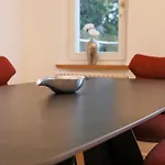 Grosse In Jugendstil-villa, Kassel-bad Wilhelmshoehe Am Unesco-bergpark, Herkulesblick, 3 Schlafzimmer, Boxspring-betten, Bis 8 Personen, Balkon, Kostenfreie Parkplaetze - Art City-studio 11 Apartament